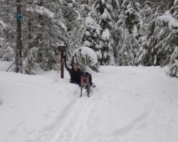 Huck and Lora enjoying the snow