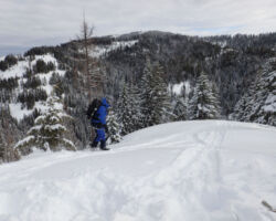 Lora dropping in