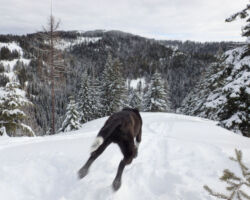 Huck dropping in