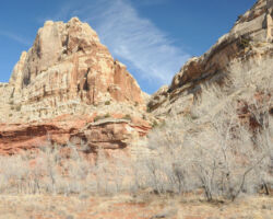 Capitol Reef NP
