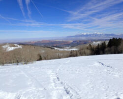 Quick snowboard in Dixie NF