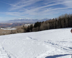 Slushy fun in the Dixie National Forest