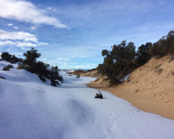 Huck enjoying the desert and the snow